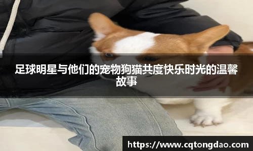 足球明星与他们的宠物狗猫共度快乐时光的温馨故事